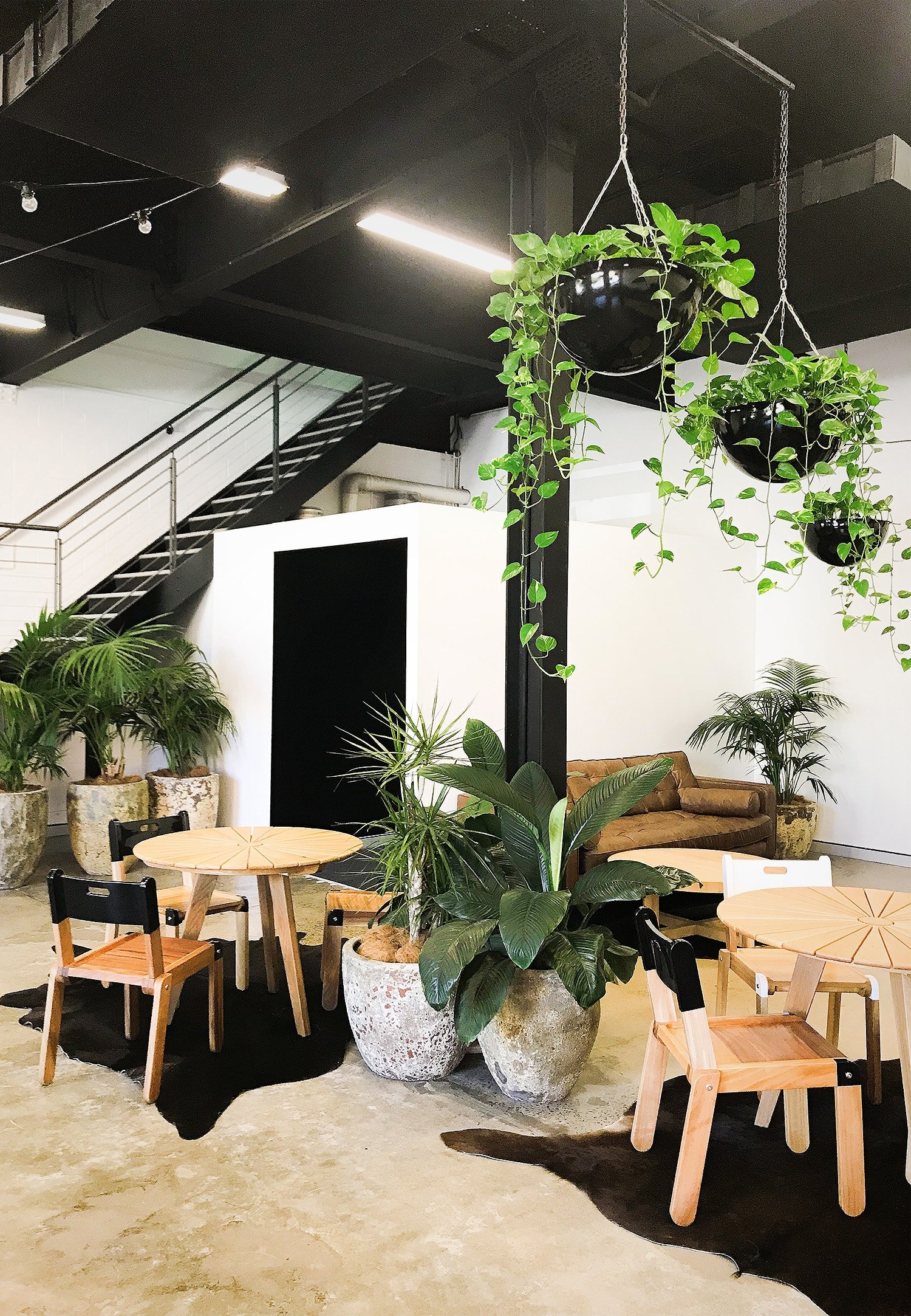 Commercial Space plantation Services