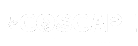 White transparent background